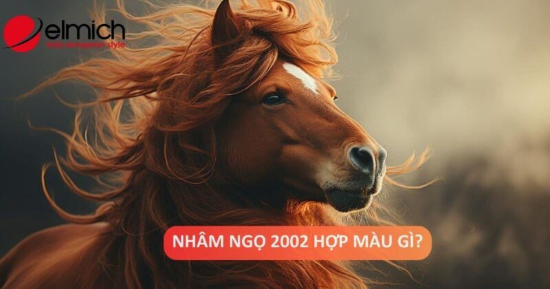 Mau sac xe tuong sinh tuong hop voi tuoi Ngo 2002 menh Moc